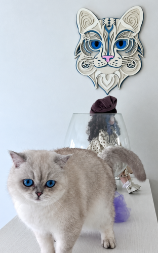 Illustration relief d'Ikena le chat - Tableau bois photo review