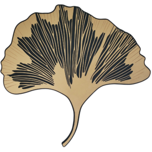 Ginkgo
