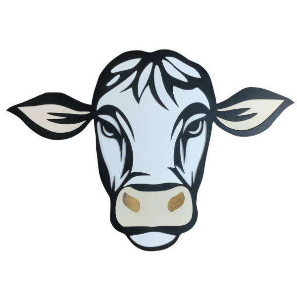 Clochette, la vache avec ou sans corne – Image 3