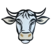 Clochette, la vache avec ou sans corne