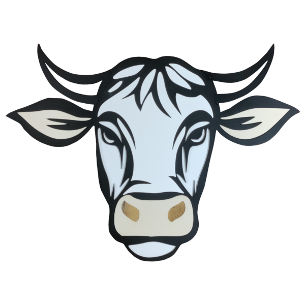 Clochette, la vache avec ou sans corne