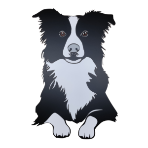 Looping, Le Border Collie