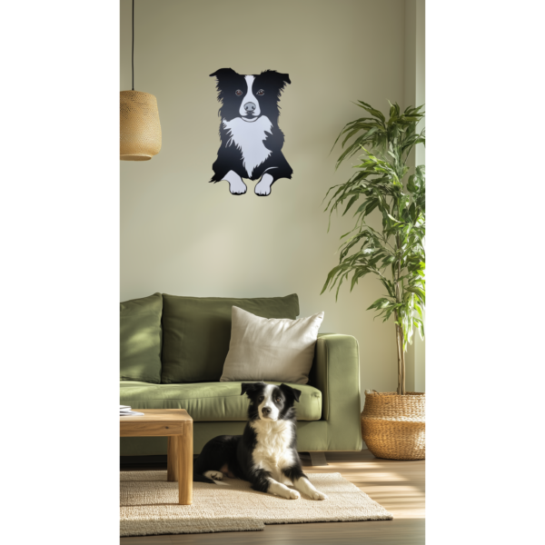 Looping, Le Border Collie – Image 2